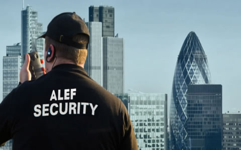 Alef Security